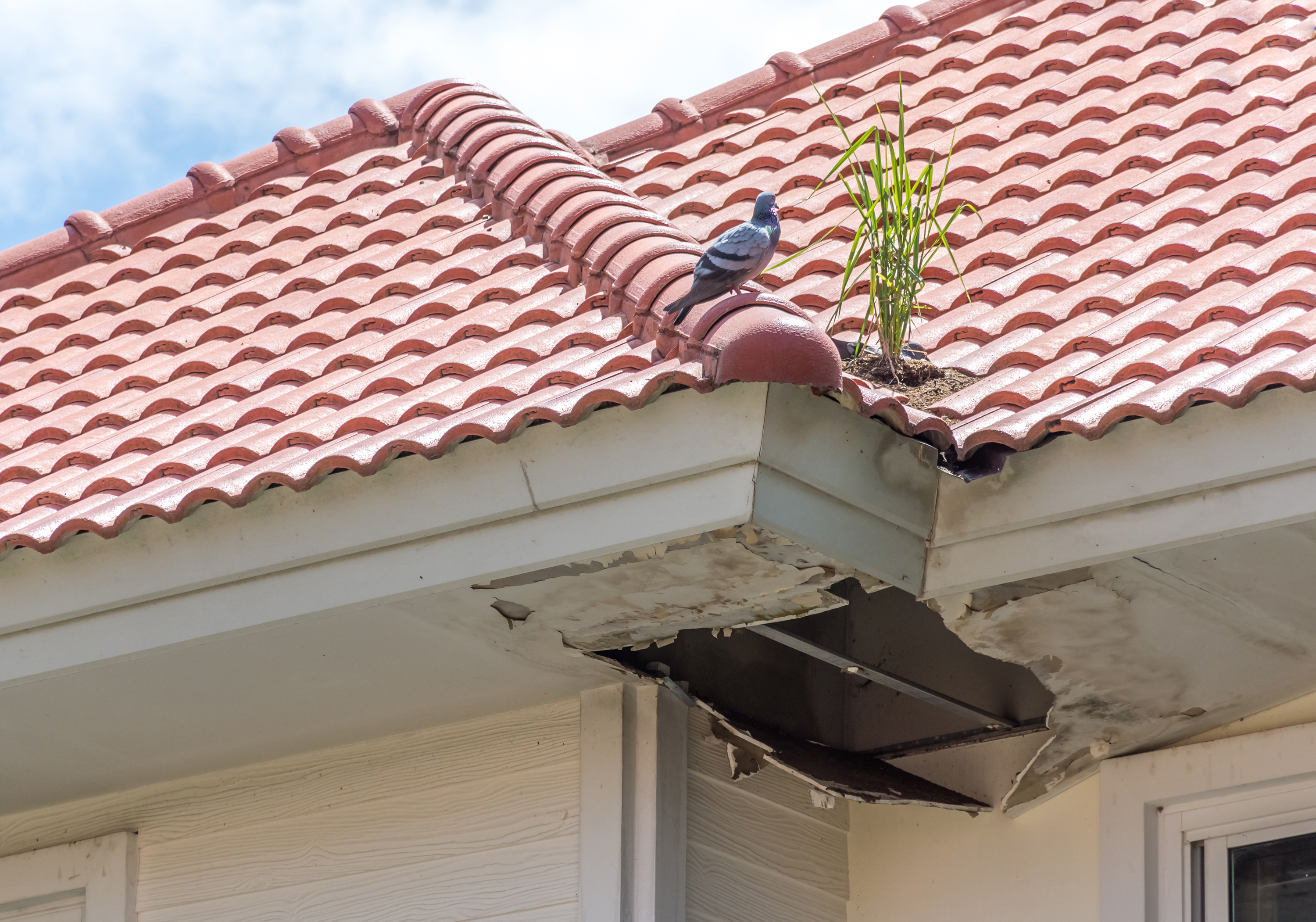 roof repair Chesterfield County VA