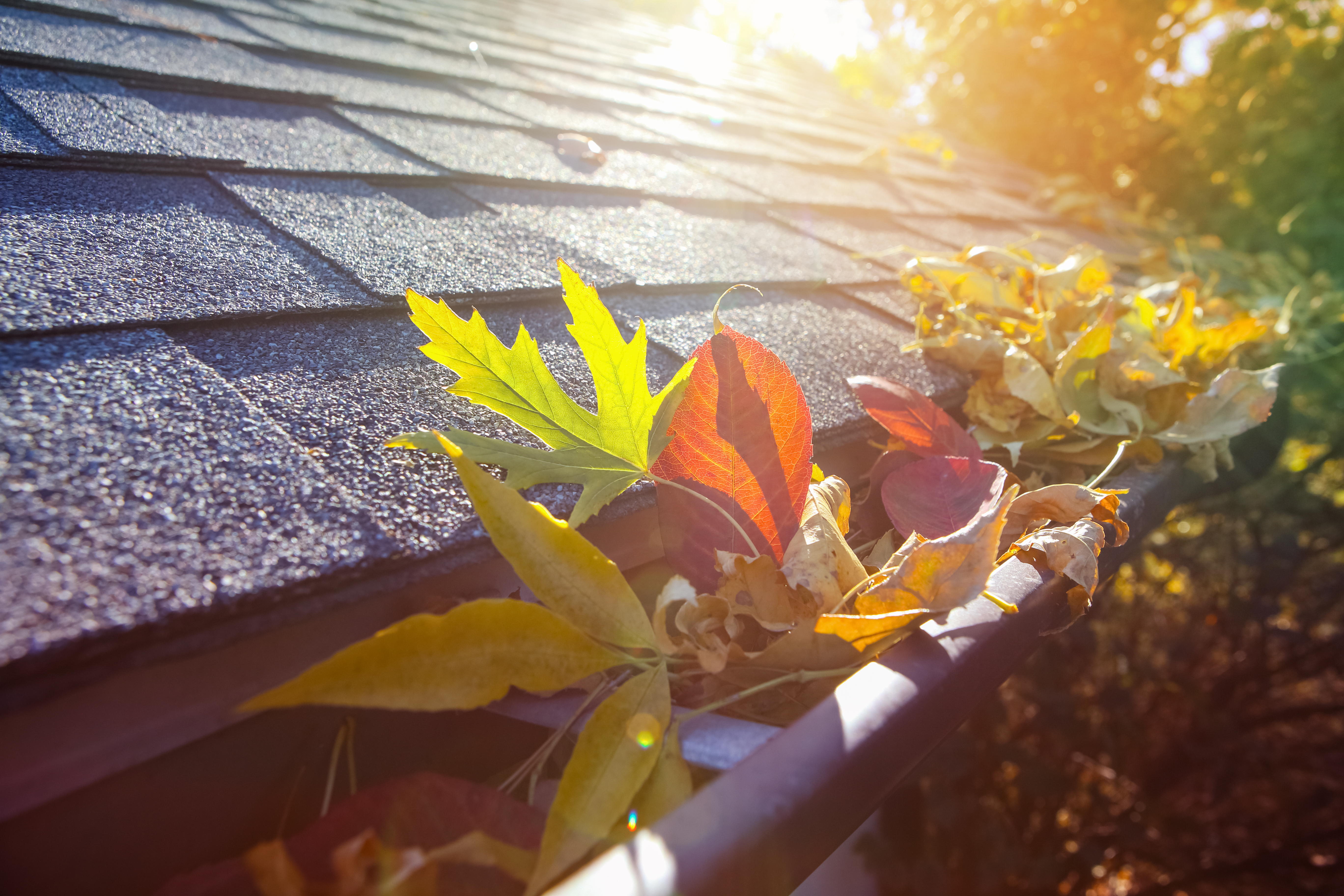 roof repair Colonial Height